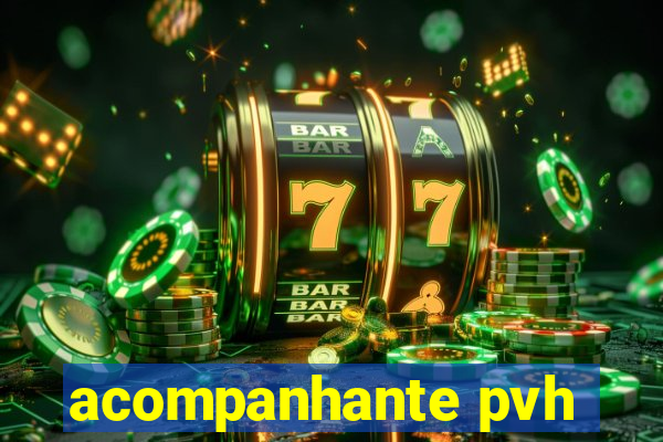 acompanhante pvh